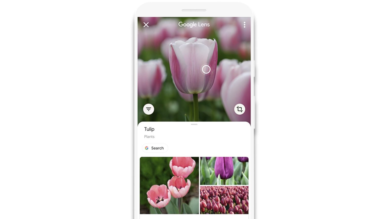 What is Google Lens How it Works and Should You Use It? CitizenSide