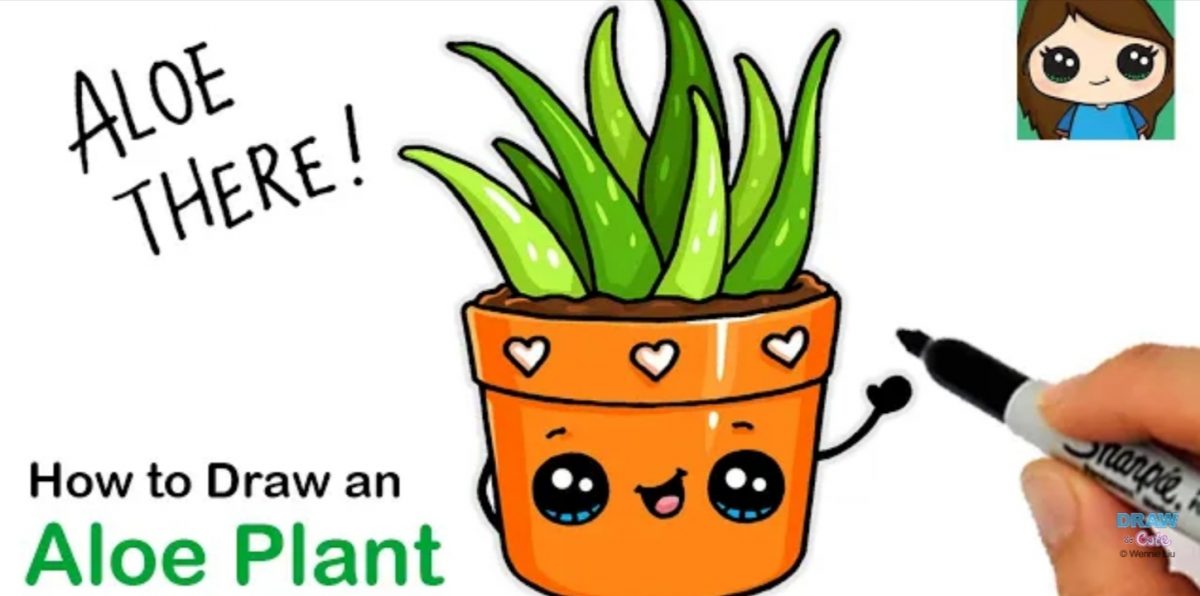 How to Draw Aloe Vera