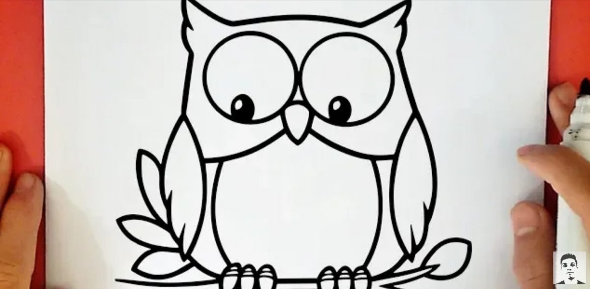 How to Draw an Owl