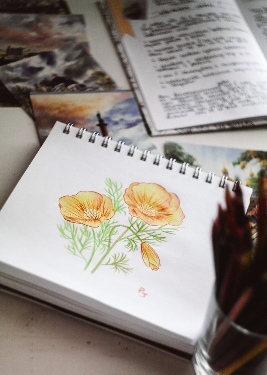 flower drawing on sketch pad