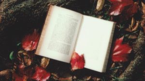 25 Books Like Twilight to Sink Your Teeth Into