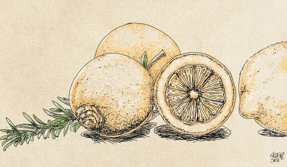 Easy Drawings of Fruits