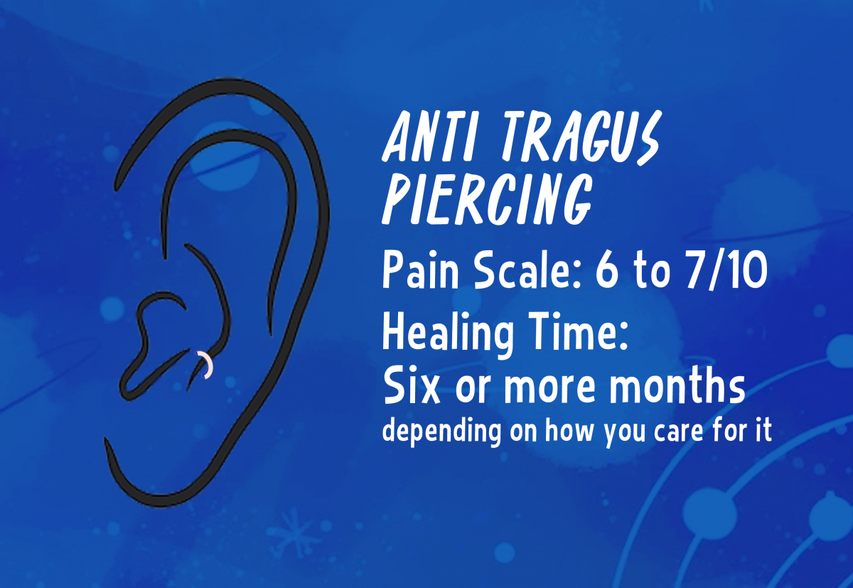 A graphic showing the placement of an anti tragus piercing.