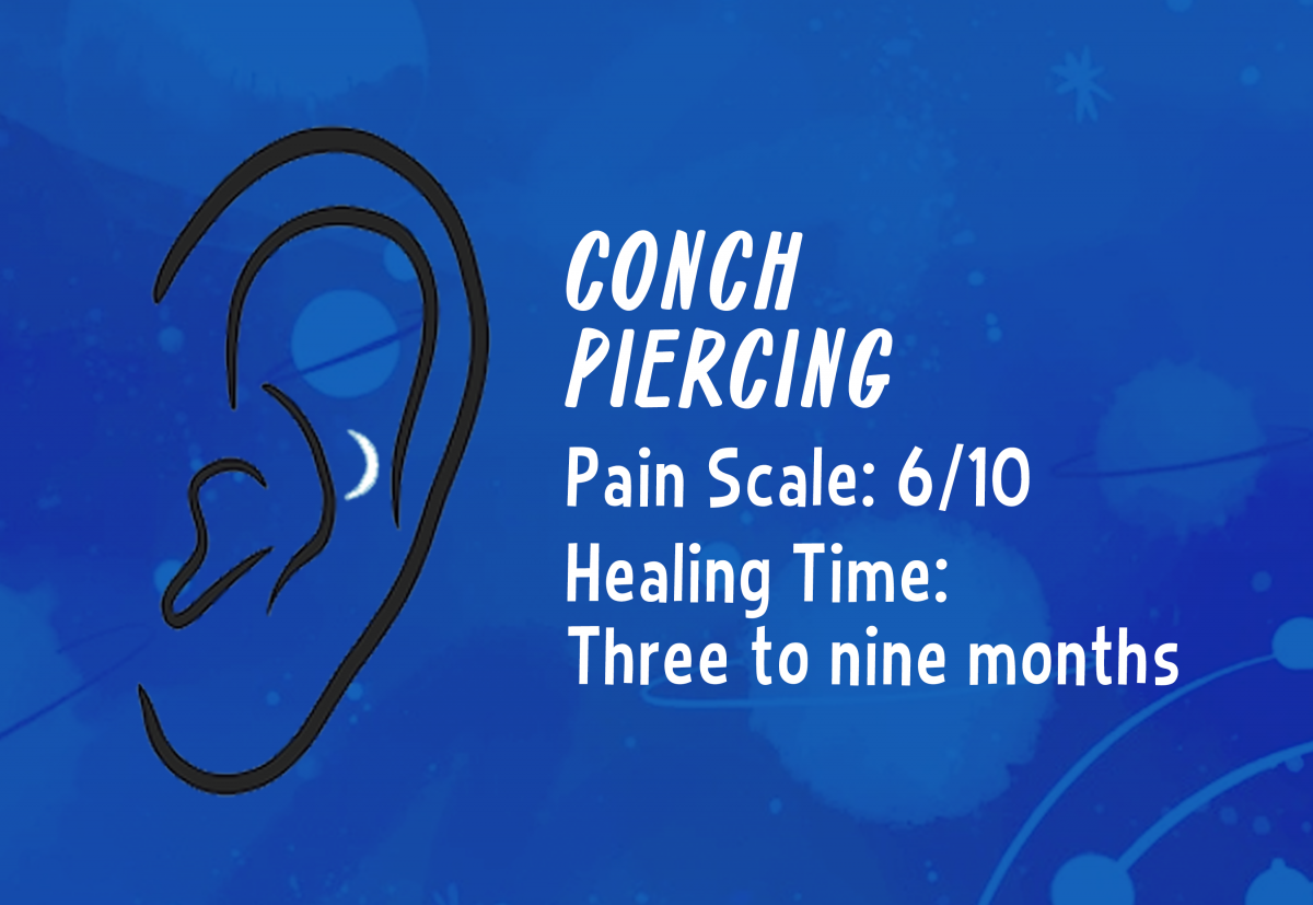 A graphic showing the placement of a conch piercing.