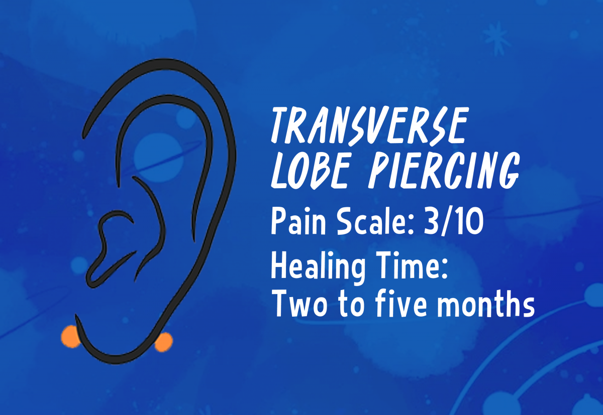 A graphic showing the placement of a transverse lobe piercing.