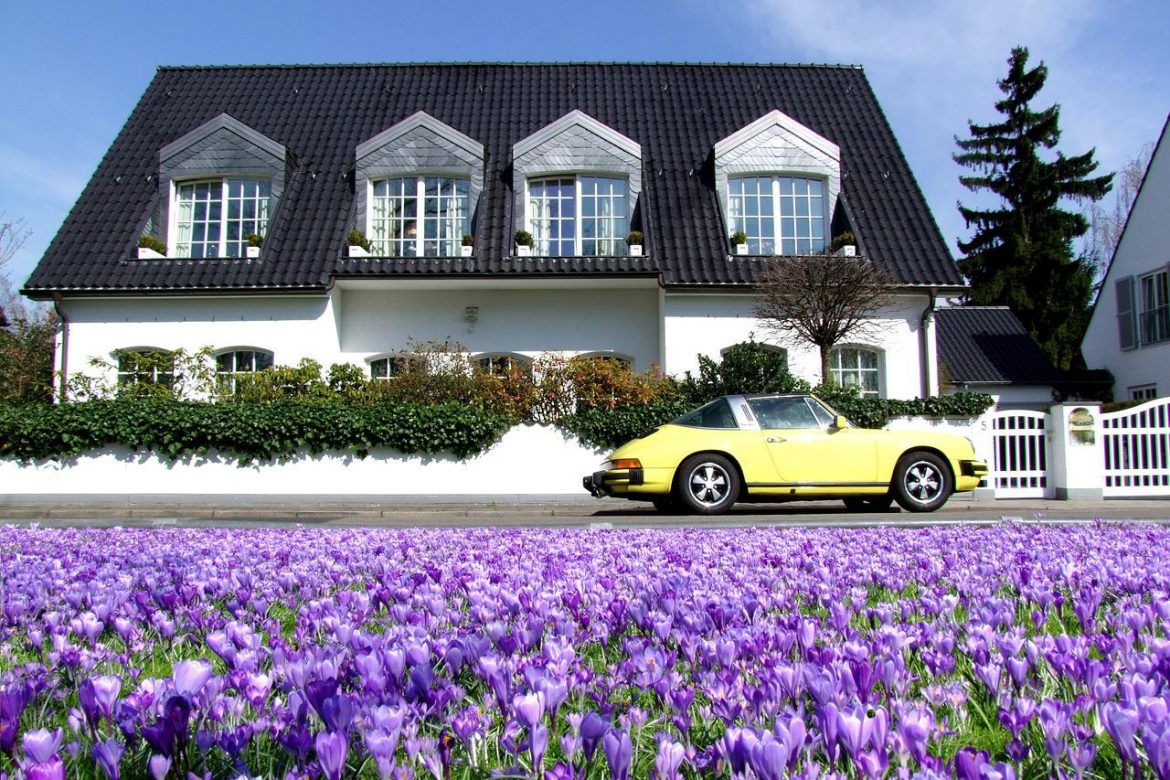 yellow car at lavender field