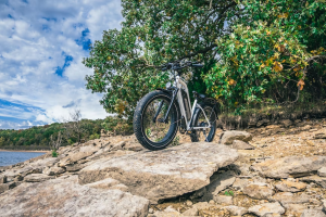 Do Not Miss Out on the Himiway Fat Tire Electric Bike this Spring