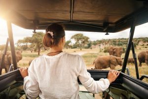 5 Little Known Facts About Kenya Safaris