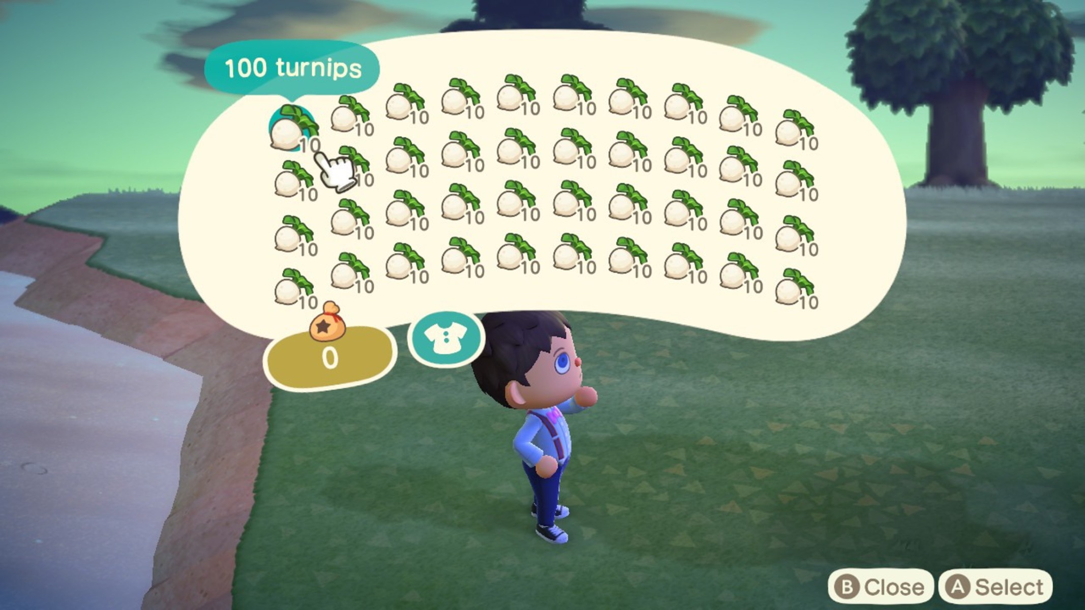 How To Get Turnips In Animal Crossing