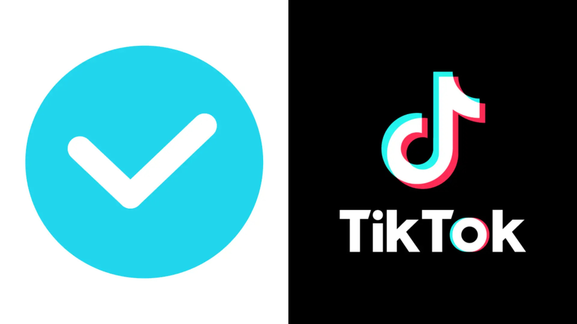 How To Get Verified On TikTok