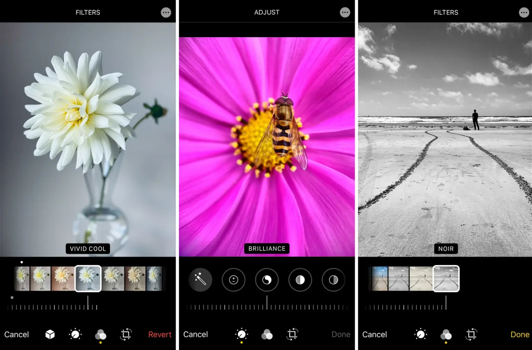 How To Use The Live Photo Editor On IPhone