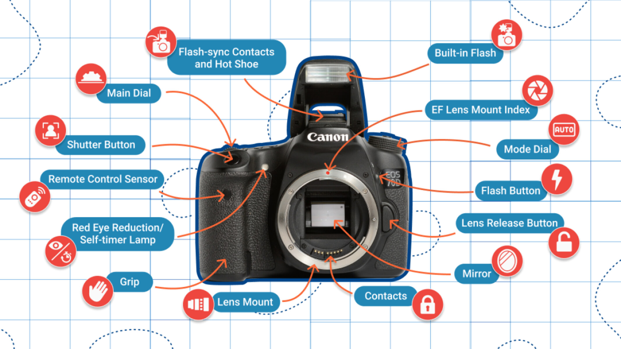 Learn How To Make Use Of Digital Camera Safety