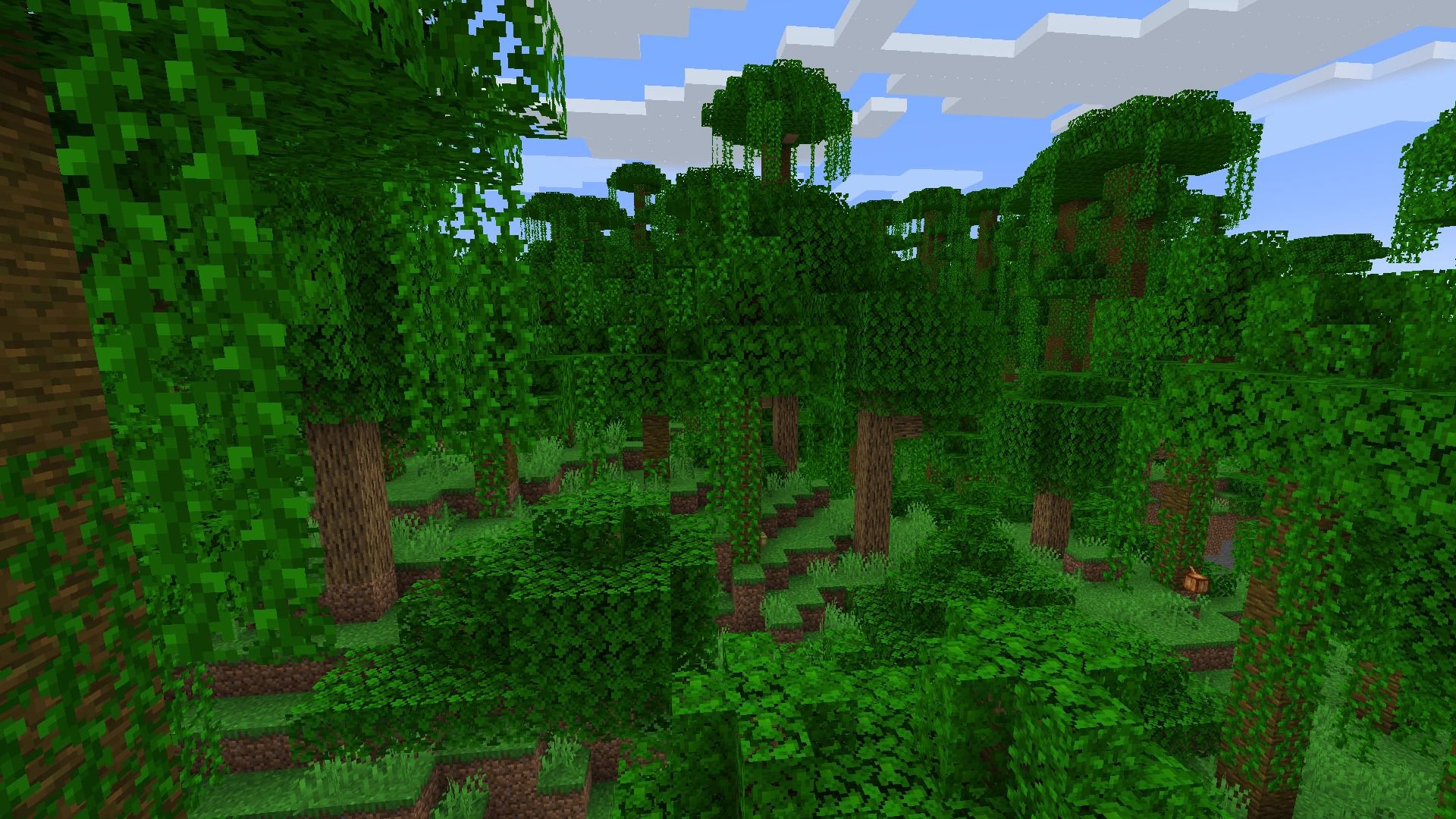Minecraft Biomes Explained: Jungle Biome