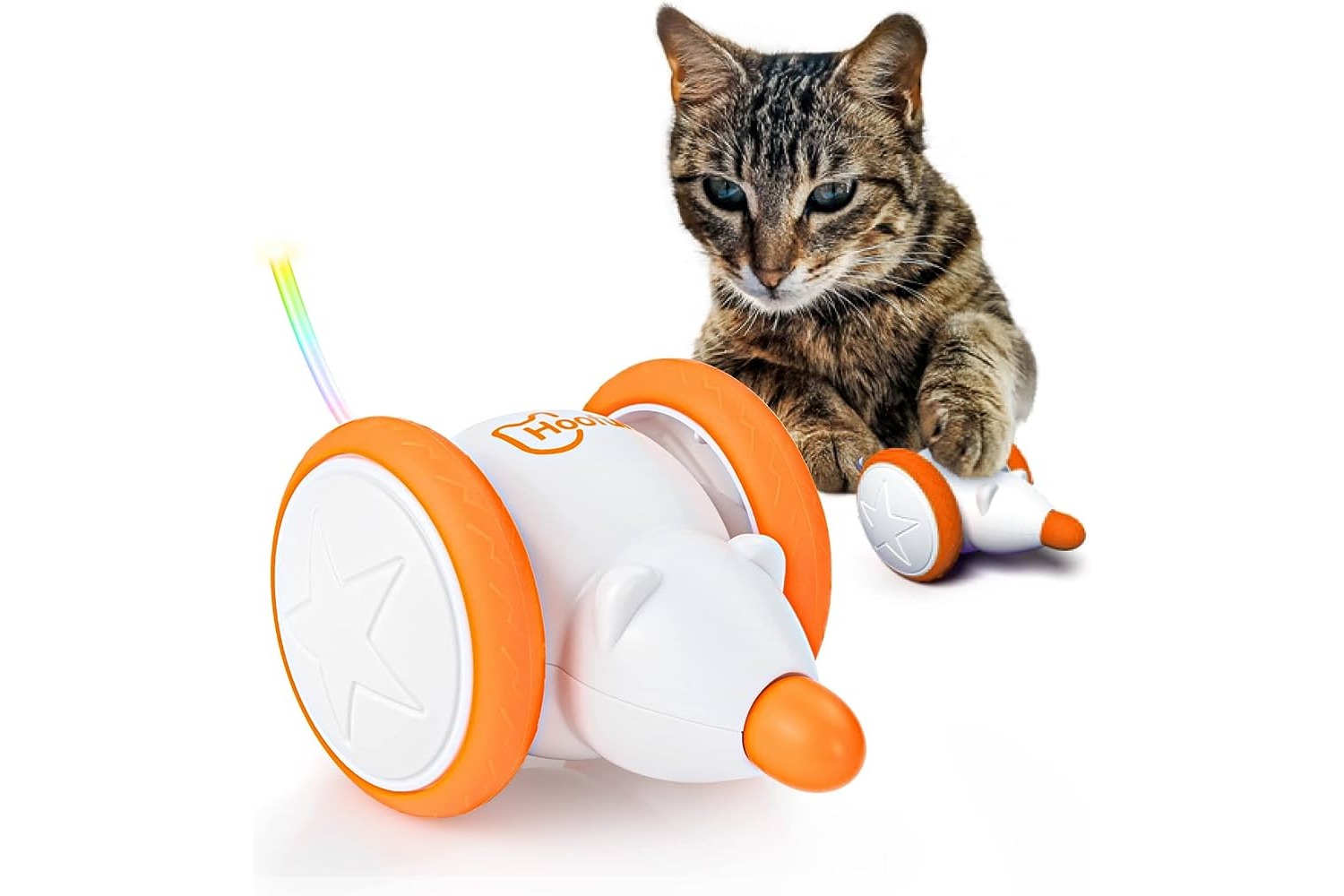 12-amazing-electronic-cat-toy-for-2023