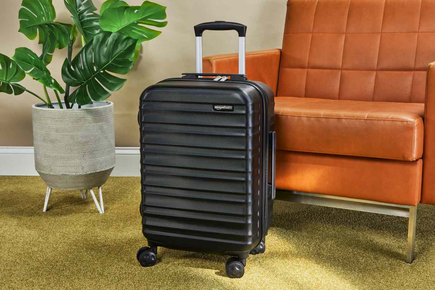 12 Best Amazon Basics Luggage for 2024