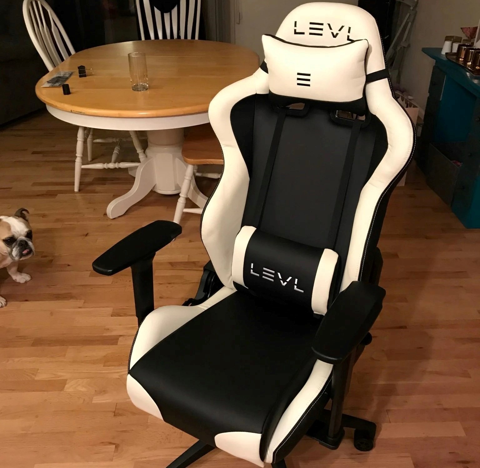 12 Best Levl Gaming Chair for 2023