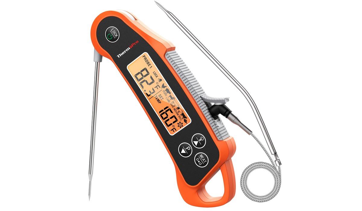 12 Incredible Electronic Meat Thermometer With Probe for 2024
