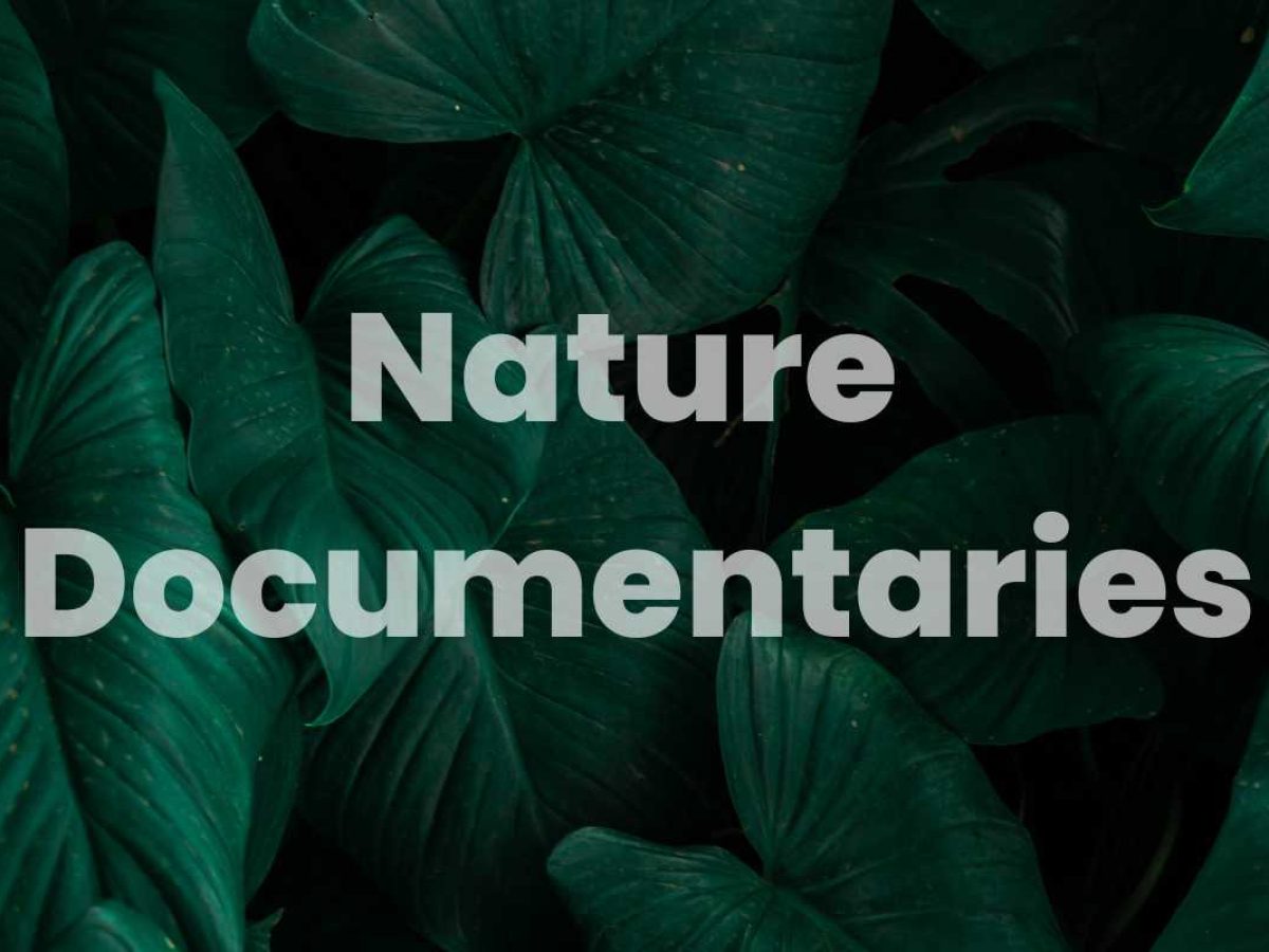12 Incredible Nature Documentaries Amazon Prime for 2024