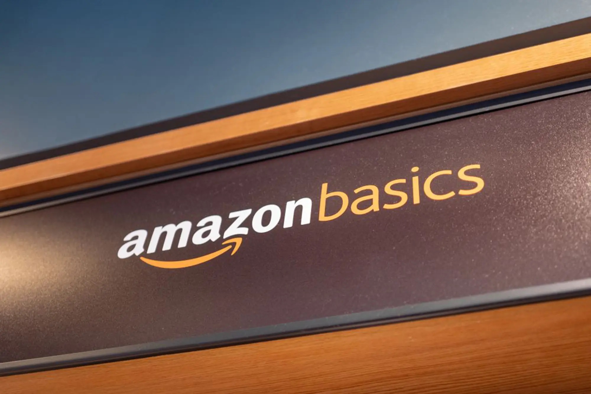 12 Superior Amazon Basics for 2024