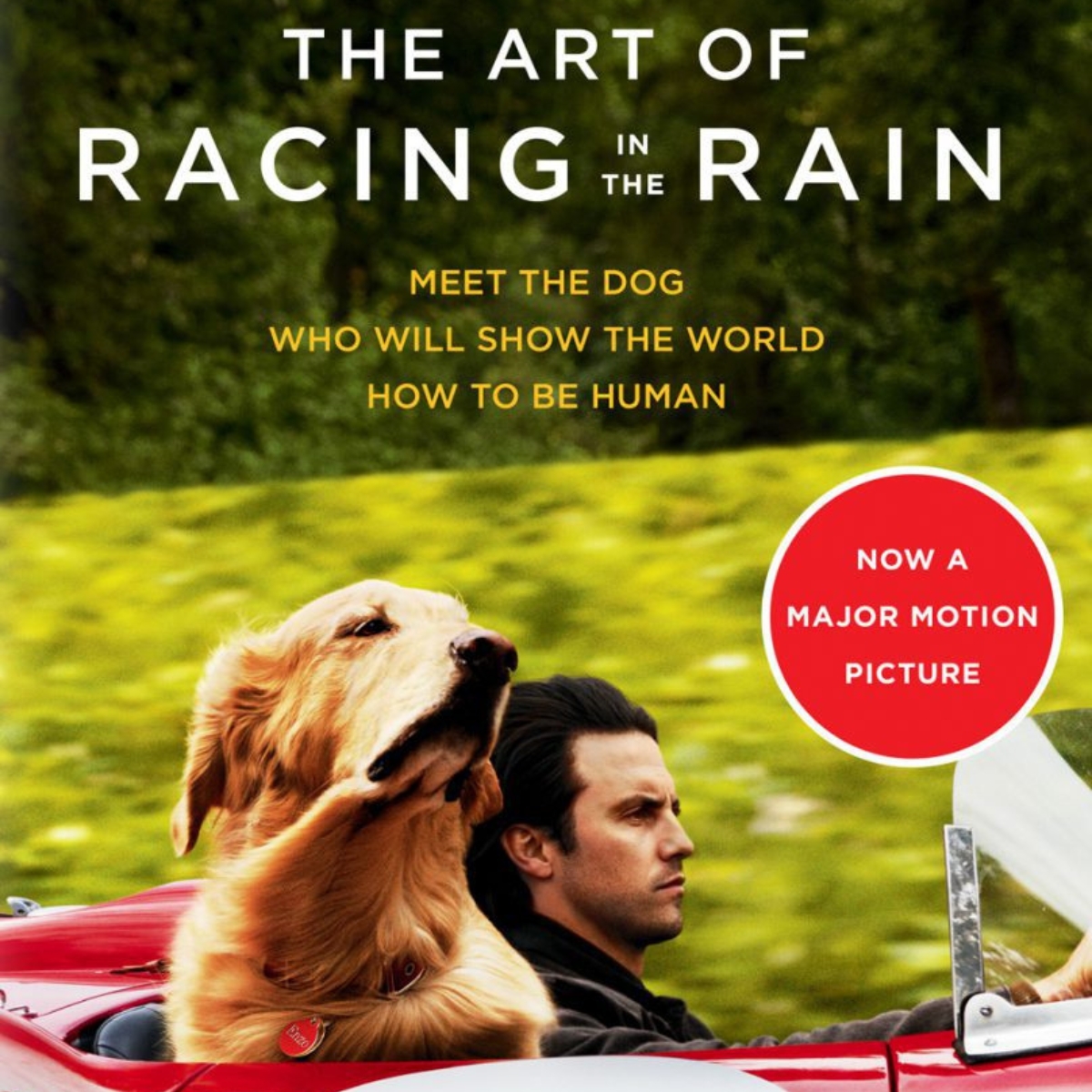 12 Unbelievable The Art Of Racing In The Rain Kindle for 2024