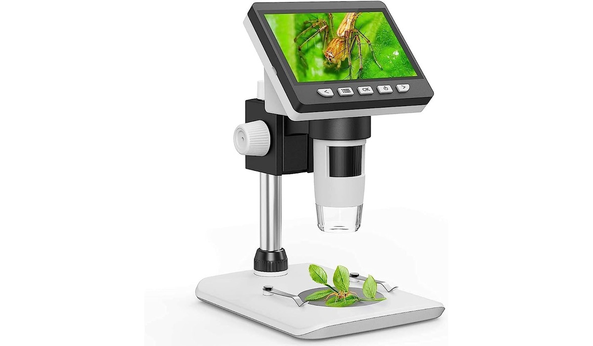 14 Best Digital Microscope for 2024