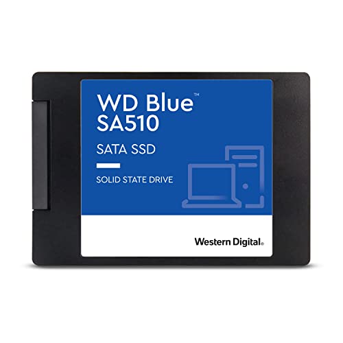 WD Blue SA510 SATA Internal SSD - 1TB