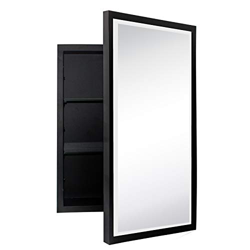 TEHOME Black Metal Framed Medicine Cabinet with Mirror