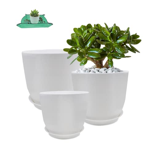 Qefuna Plant Pots, Set of 3