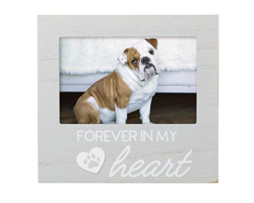 Pet Forever In My Heart Memorial Picture Frame