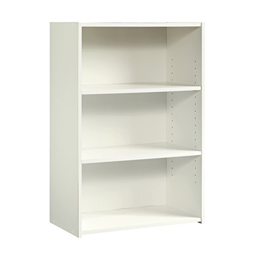 Affordable and Versatile Bookcase