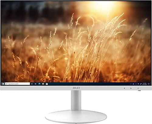 MSI All-in-One Computer Desktop