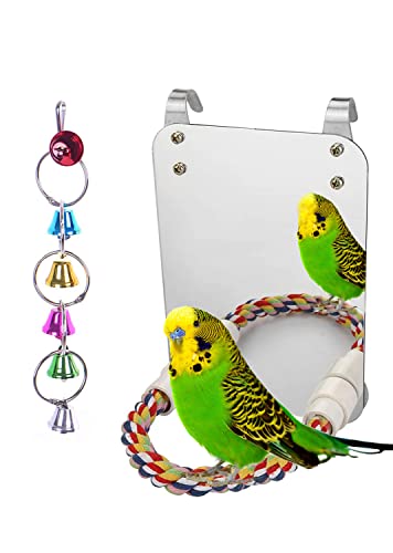 Bird Mirror with Rope Perch Bird Toys Swing