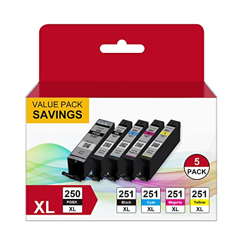 Compatible Ink Cartridges for Canon 250 and 251 Printer