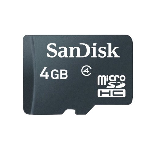 SanDisk 4GB microSDHC Card