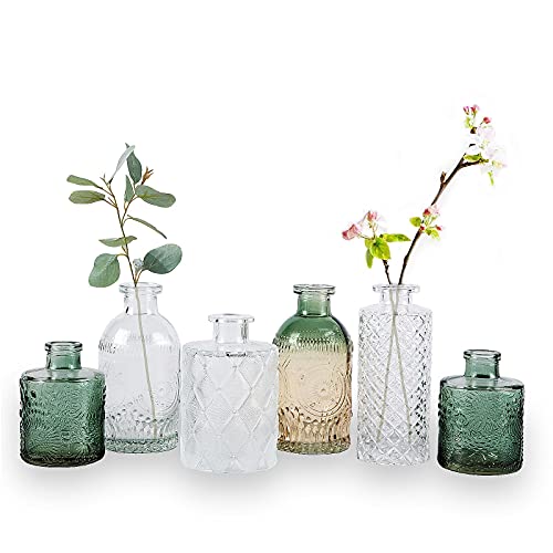 WILDMOS Glass Bud Vase Set - Vintage Decorative Vases