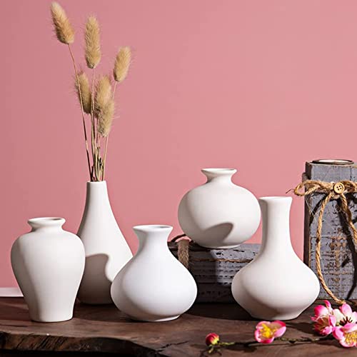 Mini Ceramic Vases for Decor