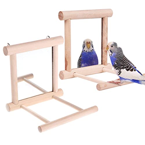 Bird Mirror and Swing Parrot Cage Toys for Small Birds