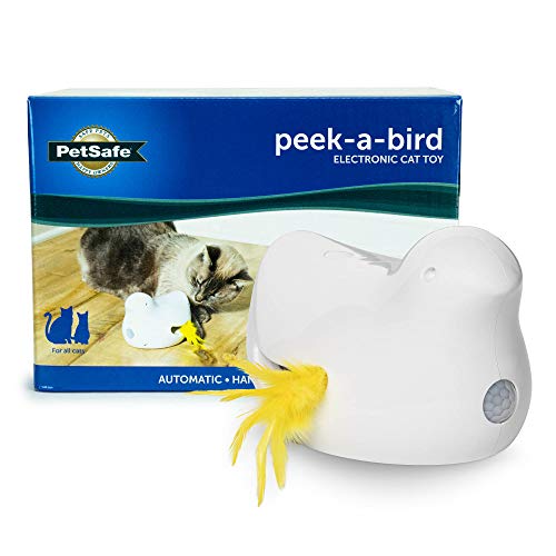 PetSafe Peek-A-Bird - Interactive Bird Hunt for Cats