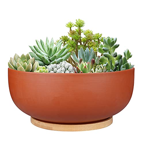 Terracotta Succulent Planter with Drainage Hole and Bamboo Saucer