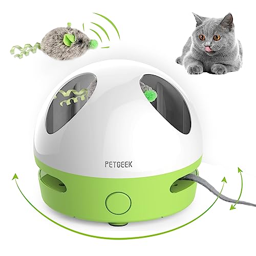 12 Amazing Electronic Cat Toy for 2023 CitizenSide