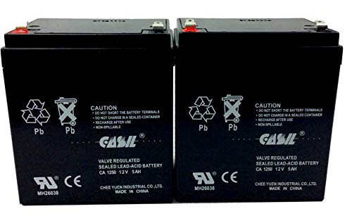 Casil 12V 5AH Replacement Battery