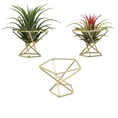 Geometric Air Plant Holder Stand - Gold