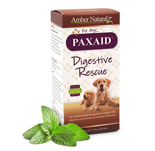 Amber NaturalZ Digestive Rescue for Dogs