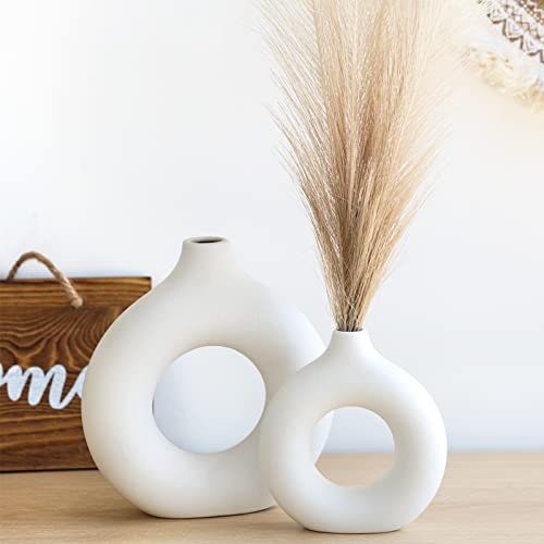 Stylish and Elegant Ceramic Vases - Perfect for Home Decor