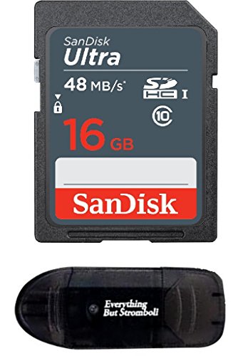 Sandisk 16GB SD Card with Everything But Stromboli Reader