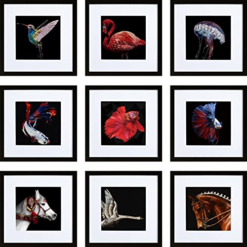 HEART ART 12x12 Frame Set - Multi Collage Gallery Square Photo Frames for Wall