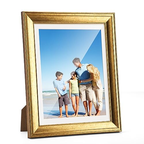 Gold Picture Frame with Plexiglass