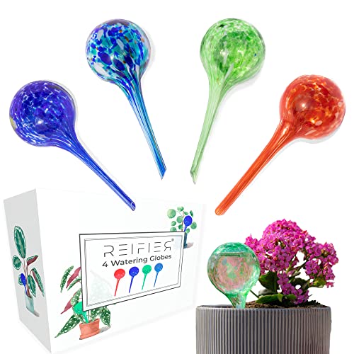 Colorful Self-Watering Bulbs for Plants