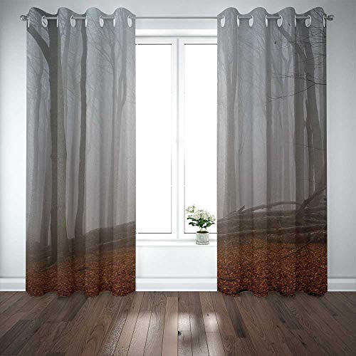 Musesh Curtain Panels