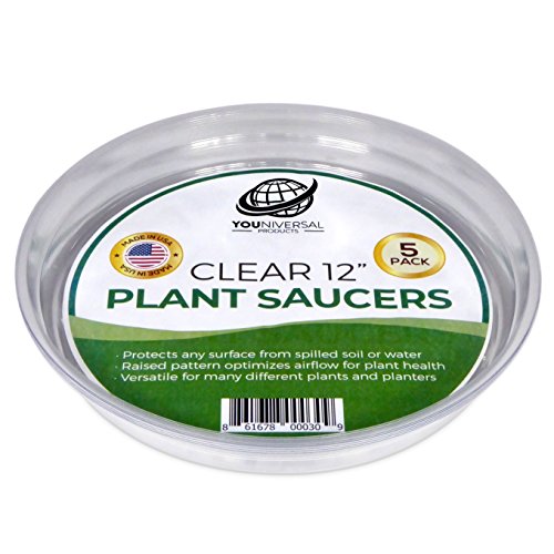 Clear Plant Saucers - 12 Inch - Excellent For Indoor & Outdoor Plants